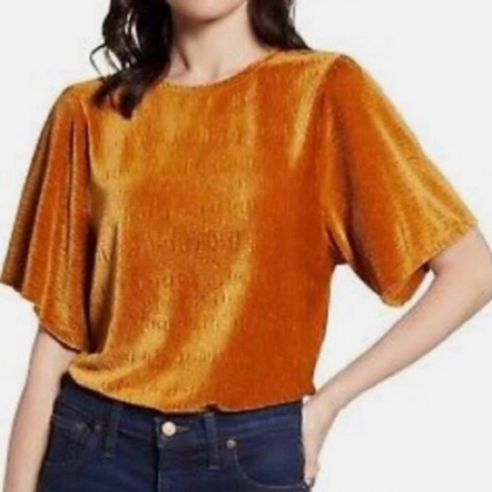 Textured velvet short sleeve Madewell blouse